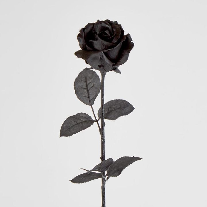 Long Stem Rose Black