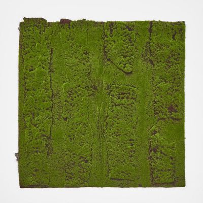 Moss Mat 100x100cm