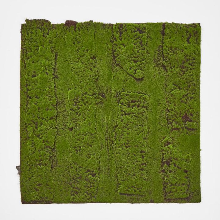 Moss Mat 100x100cm