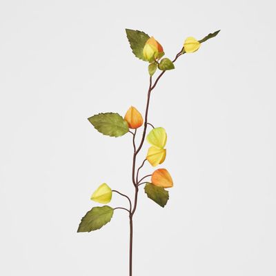 Chinese Lantern Spray Yellow