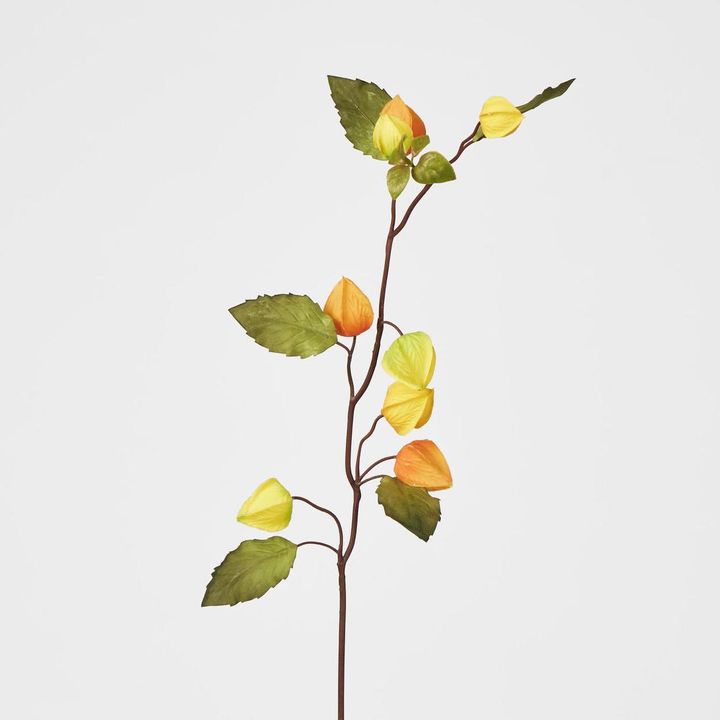 Chinese Lantern Spray Yellow