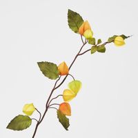 Chinese Lantern Spray Yellow
