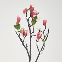 Magnolia Bud Branch Pink