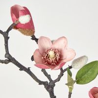 Magnolia Bud Branch Pink