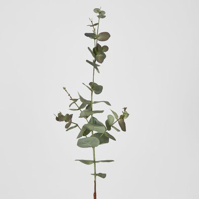Eucalyptus Spray 74cm Dark Green