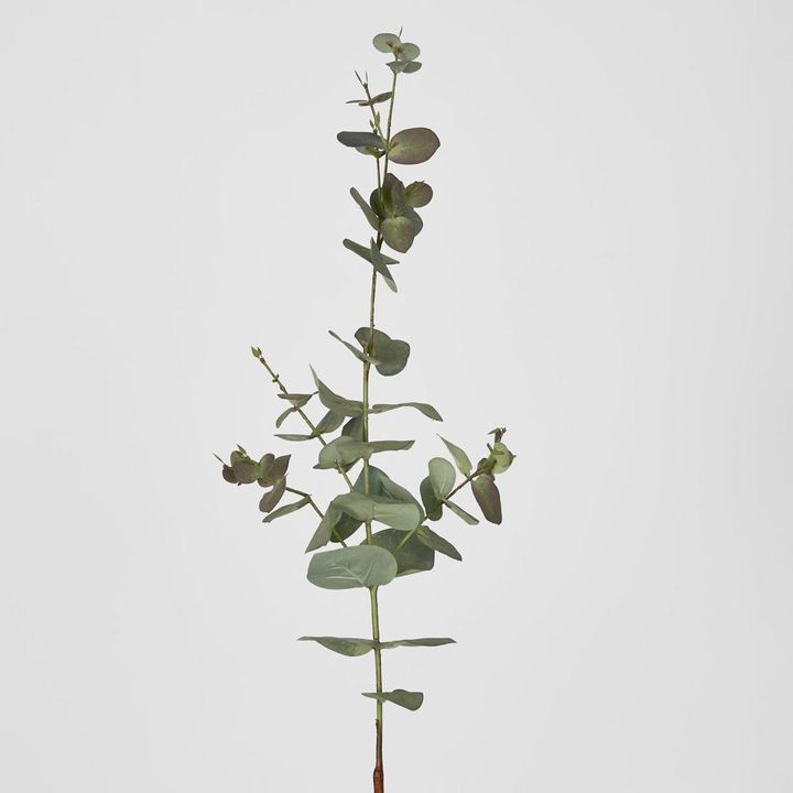 Eucalyptus Spray 74cm Dark Green