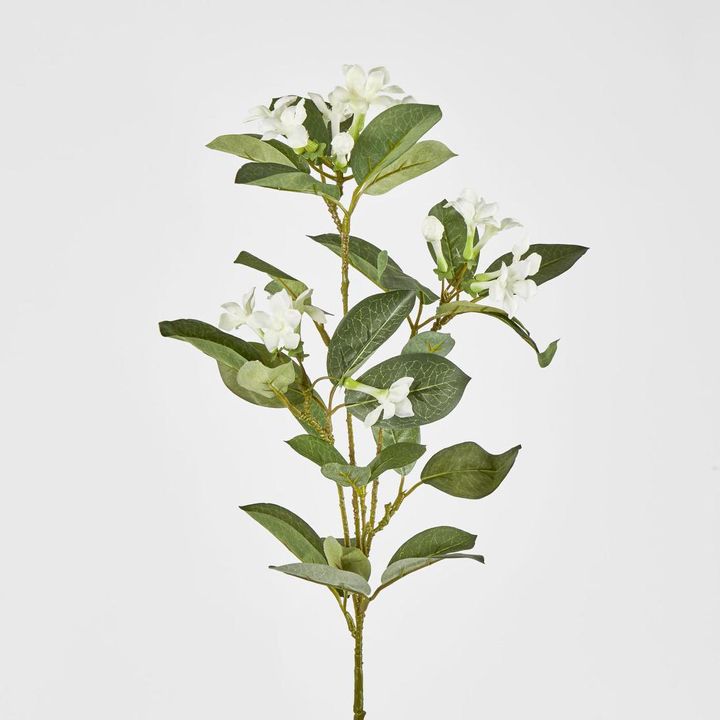 Stephanotis Floral Stem White