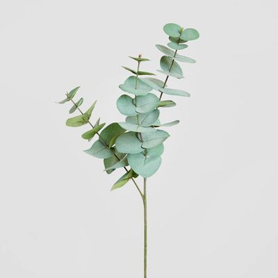 Eucalyptus Spray Grey Green