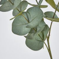 Eucalyptus Spray Grey Green