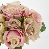 Rose Bouquet Fresh 28cm Pink & Cream