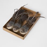Forest Spot Clip on Bird Set of 3