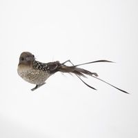 Forest Spot Clip on Bird Set of 3