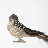 Forest Spot Clip on Bird Set of 3