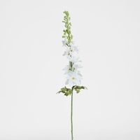 Delphinium Flower Stem 88cm White