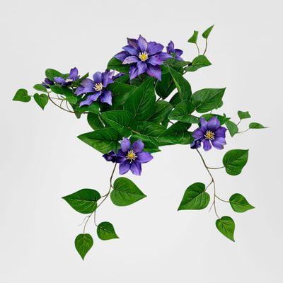 UV Trailing Clematis Bush Purple