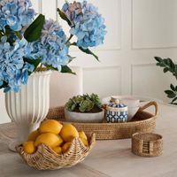 Paume Rattan Round Coaster Set 6 Natural