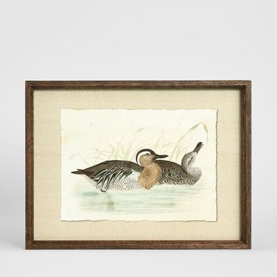Wetland Pair A Wall Art 40x30cm