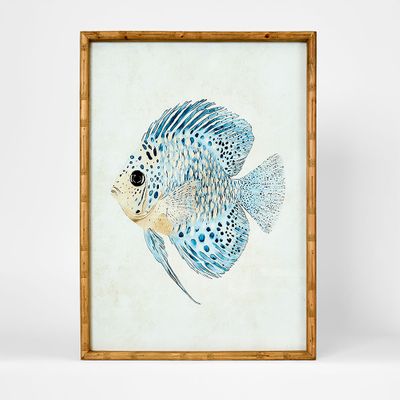 Azure Reef Fish B Wall Art 50x70cm