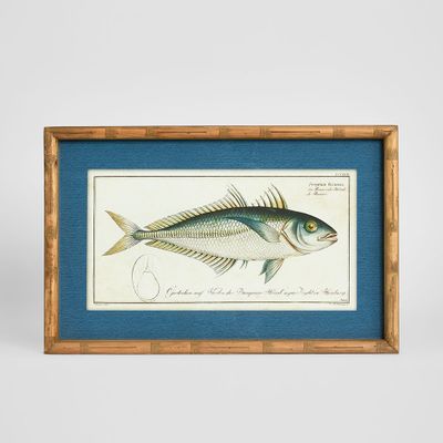 Oceanic Study 1 Wall Art 60x32cm