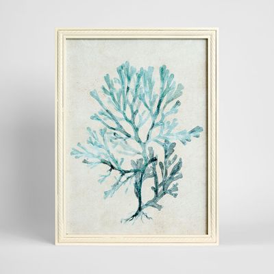 Blue Coral Study 2 Wall Art 45x60cm