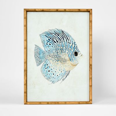Azure Reef Fish A Wall Art 50x70cm