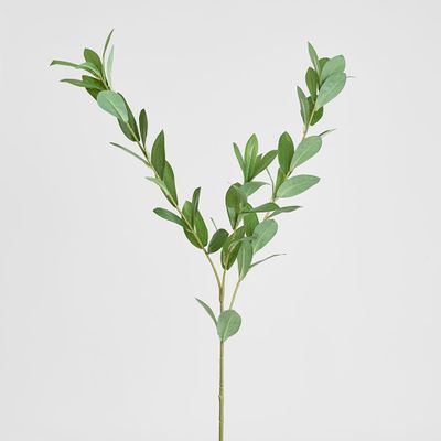 Ruscus Leaf Spray 101cm Green