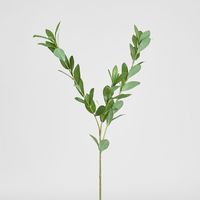 Ruscus Leaf Spray 101cm Green