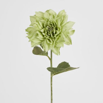 Dahlia 62cm Green