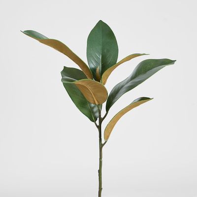 Magnolia Real Touch Leaf Spray 56cm