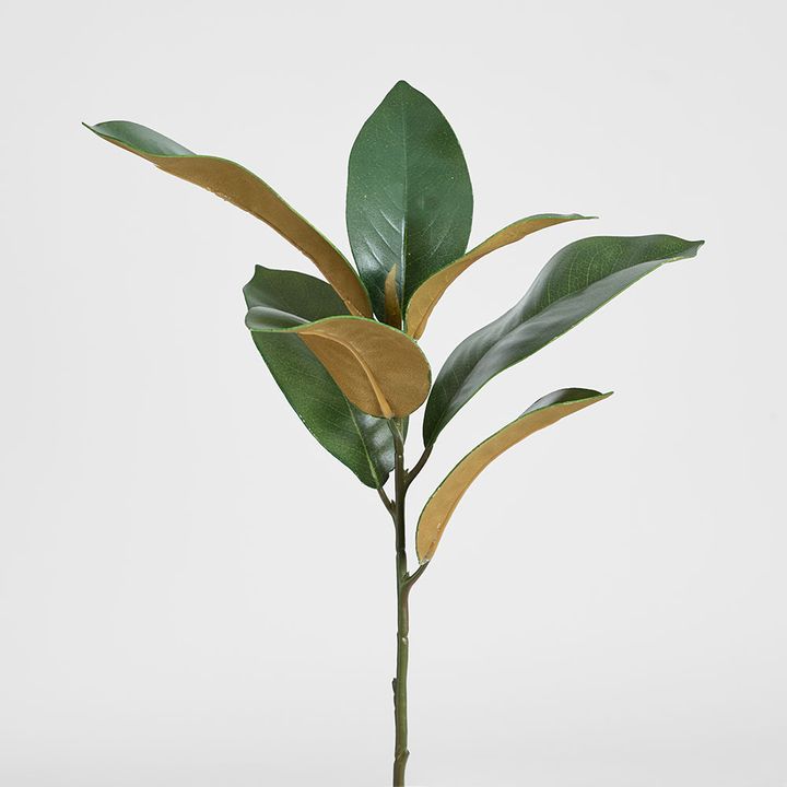 Magnolia Real Touch Leaf Spray 56cm