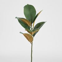 Magnolia Real Touch Leaf Spray 56cm