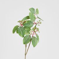 Leaf Seed Spray 80cm Green