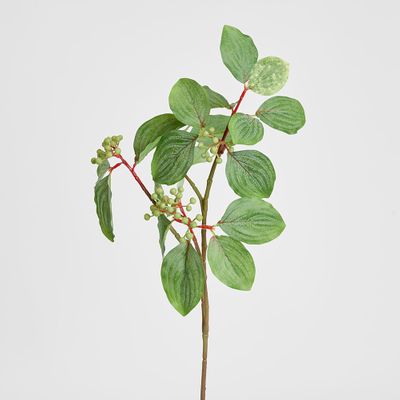 Leaf Seed Spray 80cm Green