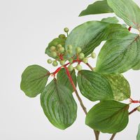 Leaf Seed Spray 80cm Green