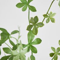 Ekianthus Leaf Spray 88cm