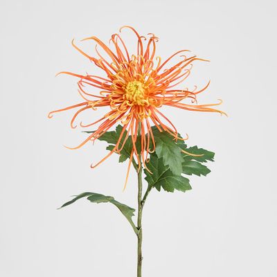Spider Mum Floral Stem 71cm Orange