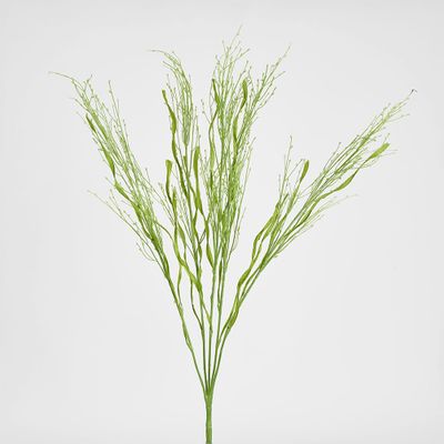 Fountain Grass Spray 66cm Green