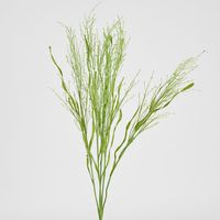 Fountain Grass Spray 66cm Green