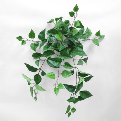 UV Flame Retardant Hanging Pothos Bush