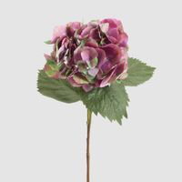 Hydrangea Large Stem With Leaves 75cm Dark Pink