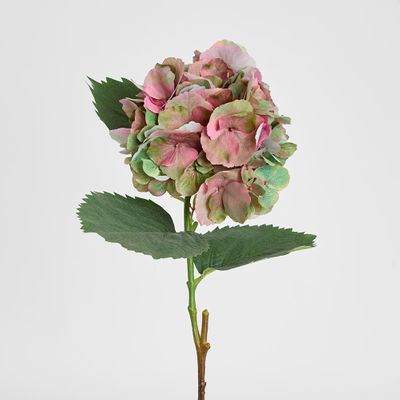 Hydrangea Large Stem With Leaves 75cm Light Pink