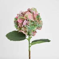 Hydrangea Large Stem With Leaves 75cm Light Pink