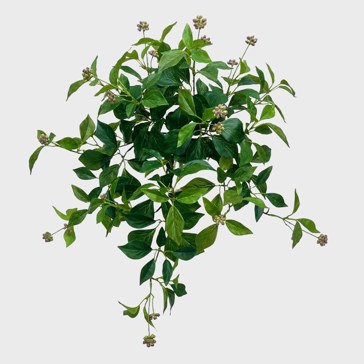 Hanging Leaf Bush With Berries 57cm