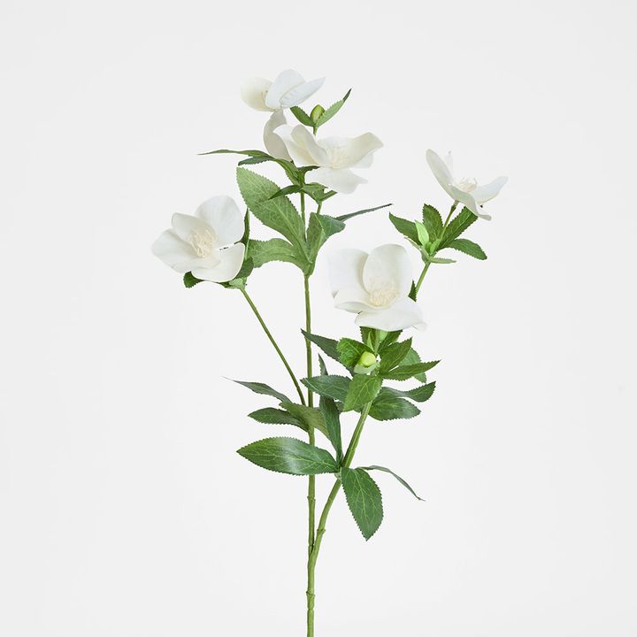 Helleborus Flower Spray 72cm White