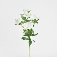 Helleborus Flower Spray 72cm White