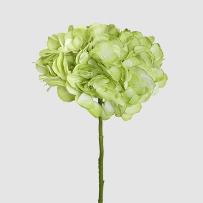 Soft Touch Hydrangea Flower Stem 75cm Green