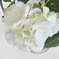 Hydrangea in Vase 31cm White