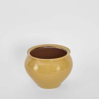 Petal Round Pot Mustard