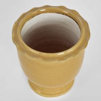 Petal Pot Mustard Small