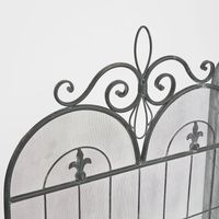 Fleur De Lys Firescreen Black